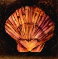 CO2 - COQUILLAGES