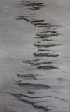 2 - SABLE - 2019 - PAYSAGES